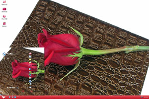 礼盒上的一朵红玫瑰高清爱情主题