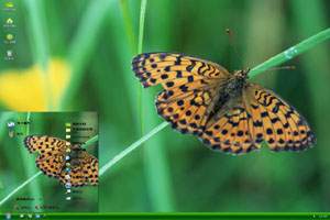 草叶上美丽的蝴蝶高清动物xp主题