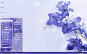 紫色兰花xp电脑主题