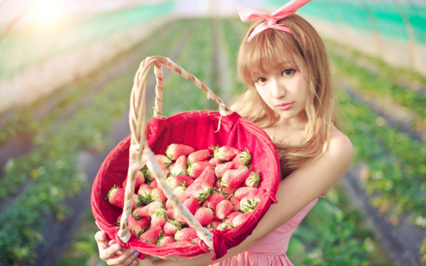 草莓白天捧著草莓的美女戶外手捧草莓攝影圖配圖背景圖桌布圖片免費下載 - Pngtree