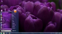  紫色郁金香win7桌面电脑主题 