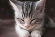  绘画的可爱小猫壁纸 