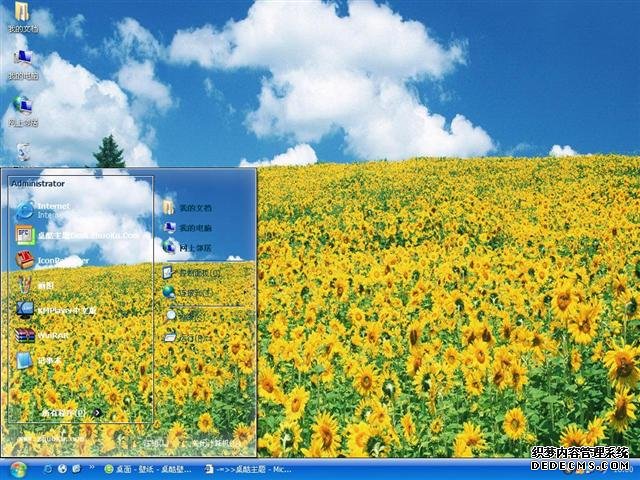  葵花朵朵向阳开电脑主题 