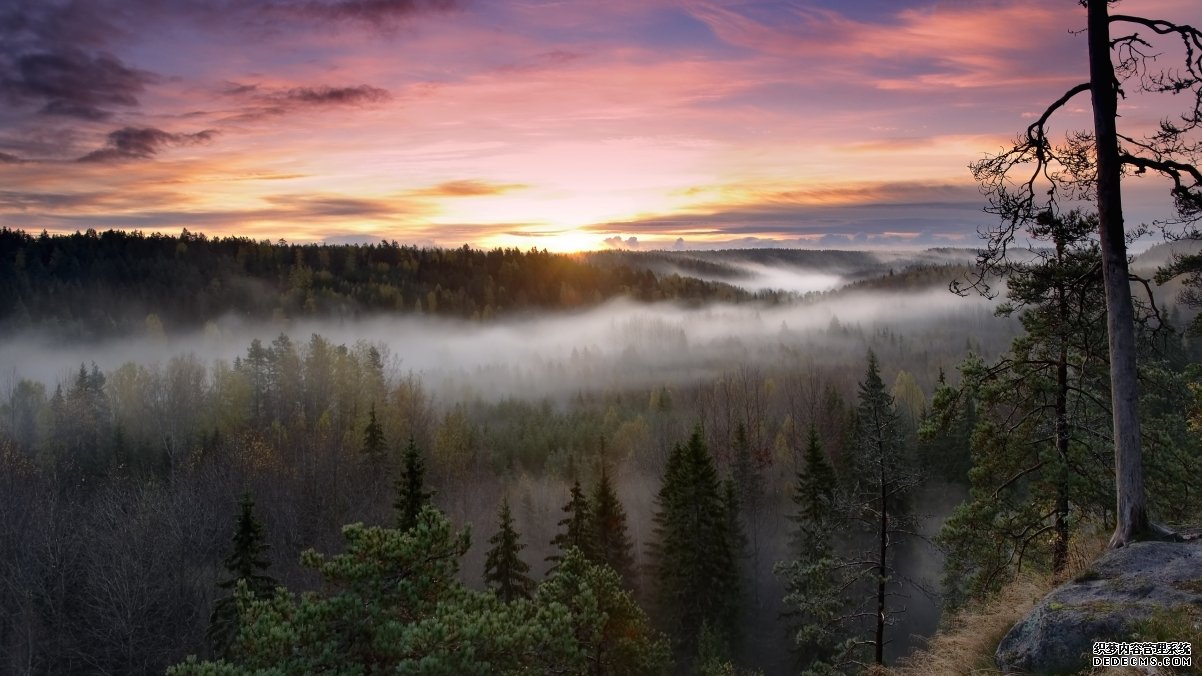 芬兰诺克斯国家公园日出风景4k壁纸