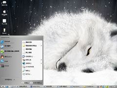 白狼-电脑主题-动物主题