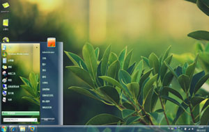 路边绿叶win7主题