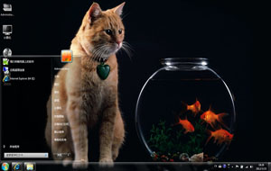 看鱼的猫桌面主题