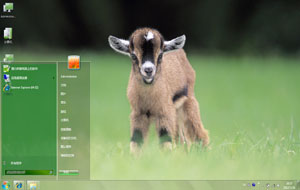 绿地小羊羔电脑高清主题