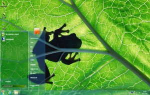  绿叶蛙影热带动物个性化主题 
