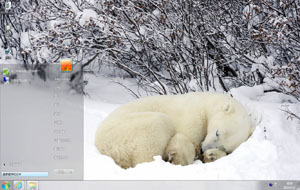 冬眠中的北极熊win7动物桌面主题