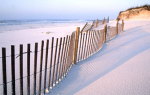 沙滩上的风景高清壁纸