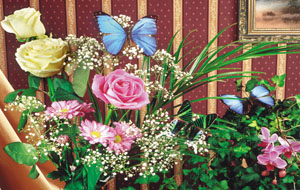 蝴蝶花园桌面壁纸 高清下载