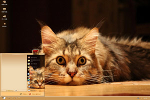  听话的猫高清桌面主题 