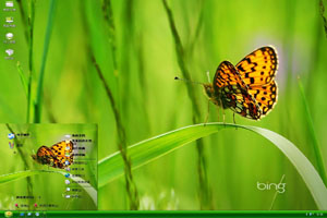  绿草上的蝴蝶高清动物主题 