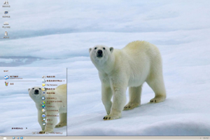  冰面上的北极熊高清动物主题 