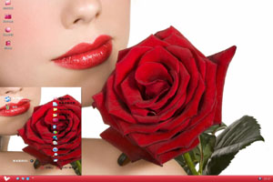 浪漫的红玫瑰花高清爱情主题