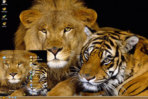  狮子和老虎在一起高清动物主题 