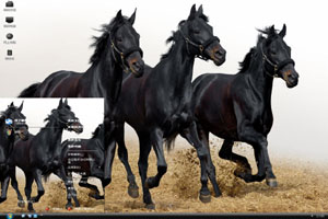  三匹黑马高清动物主题 