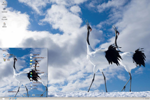 天空下的两只丹顶鹤高清动物主题