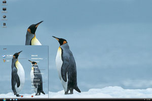  野生动物南极企鹅高清动物主题 
