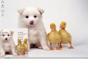  小白狗与鸭子高清动物主题 