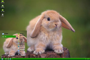  长耳朵的小兔子高清动物xp主题 