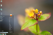  乌班图植物风景高清Ubuntu桌面win7主题 