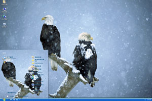  雪中树枝上的鹰高清动物xp主题 