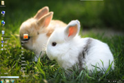 草地兔兔win7主题