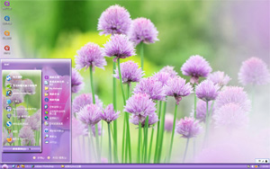  淡紫花朵xp主题 