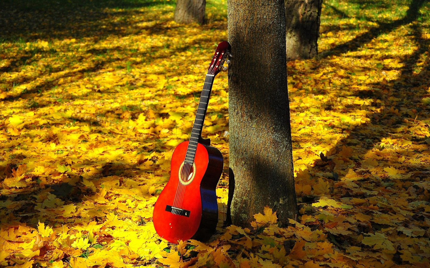  枫叶中的吉他高清壁纸 