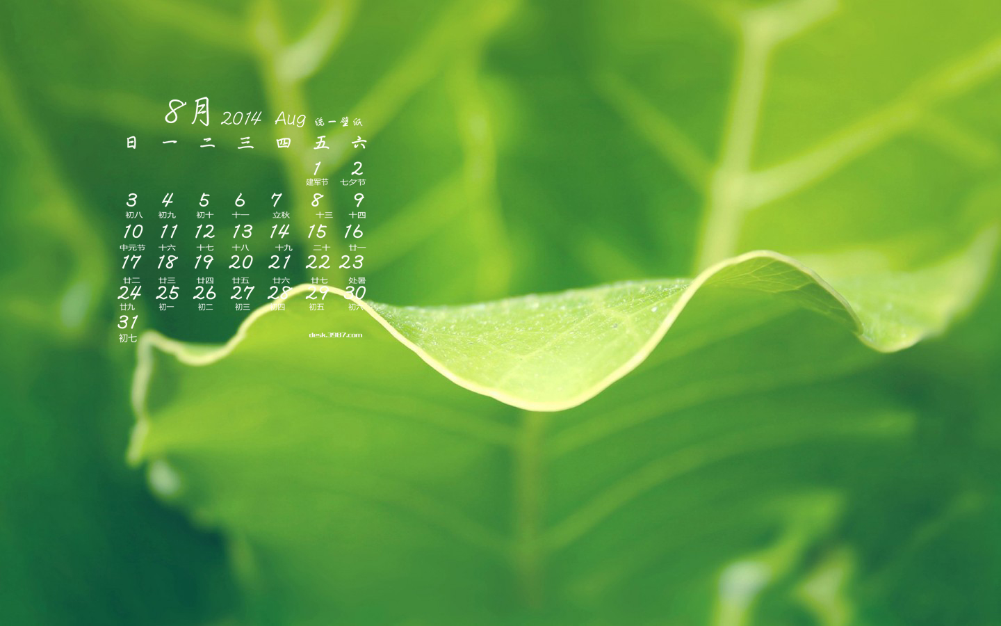  绿叶八月日历电脑壁纸 