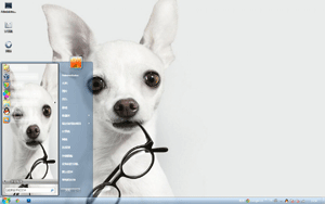  刁眼镜的狗狗电脑主题 