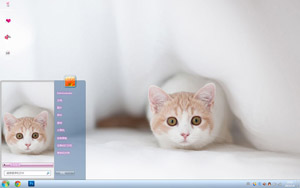  猫咪物语电脑主题下载 