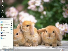 小兔子-动物主题