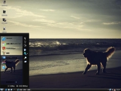 海边的小狗-电脑主题-动物主题