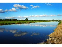  荷兰风景 圩田 草甸 4k风景图片 