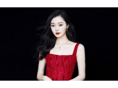  宋轶性感迷人壁纸 