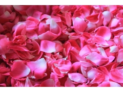  一堆粉色的玫瑰花瓣4k背景图片 