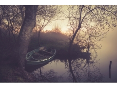  雾 湖 倒影 树 黎明 船 4k风景图片 
