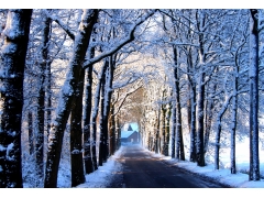  冬天 路 树 胡同 房子 雪 4k风景壁纸 