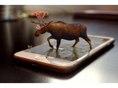  驼鹿 3d 电话 水 智能手机 创意设计 5K图片 