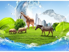  斑马 长颈鹿 犀牛 天空 水 绿草地 创意 设计 4K图片 