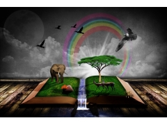  书本 幻想 鸟类 象 非洲丛林创意 艺术设计 5K图片 