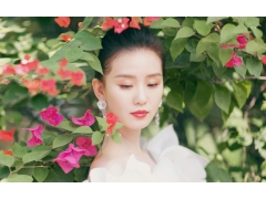 刘诗诗魅力写真壁纸 