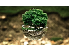  环保 环境 树 创意设计环保图片 