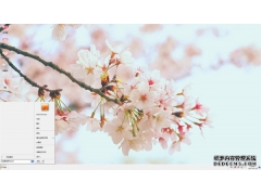  唯美清新的樱花景色xp主题 