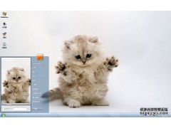  呆呆的猫咪Win7主题 