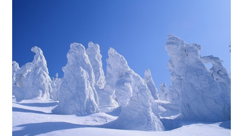 白皙雪景图片